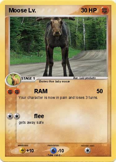 Pokemon Moose Lv.