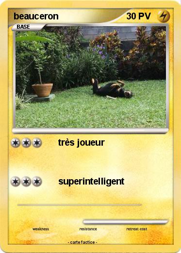 Pokemon beauceron