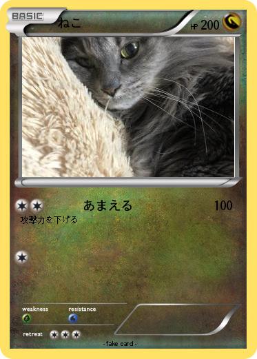 Pokemon ねこ