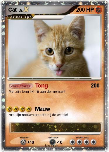 Pokemon Cat