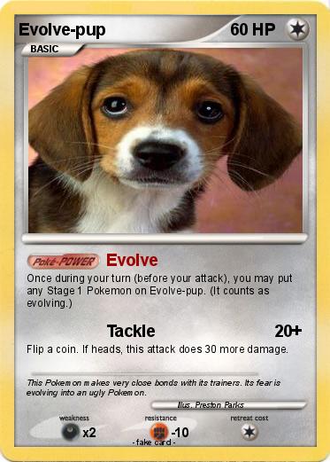 Pokemon Evolve-pup
