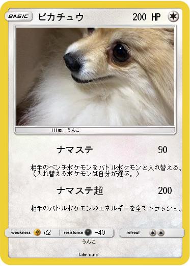 Pokemon ピカチュウ