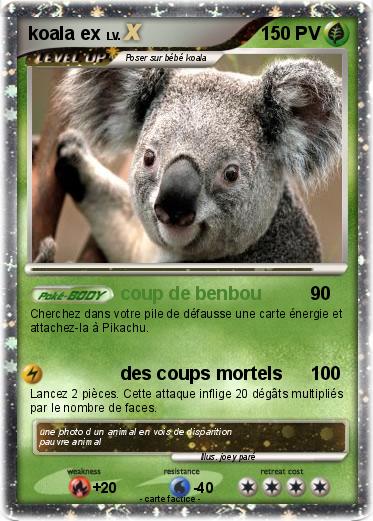 Pokemon koala ex
