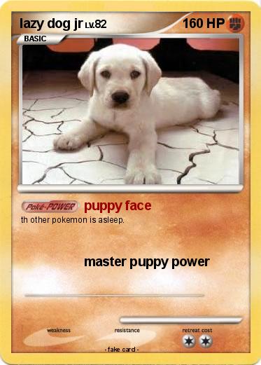 Pokemon lazy dog jr
