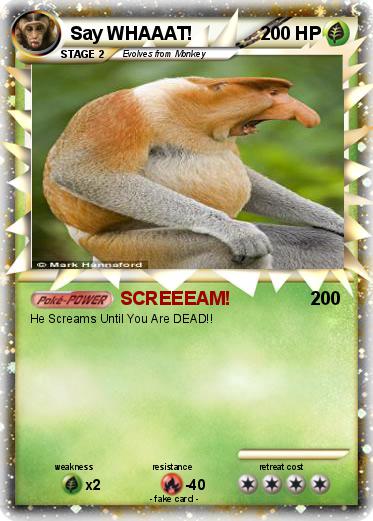 Pokemon Say WHAAAT!