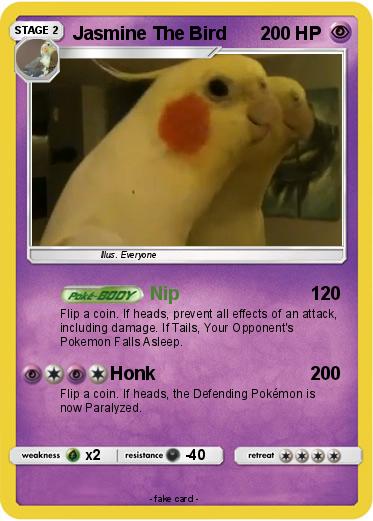 Pokemon Jasmine The Bird