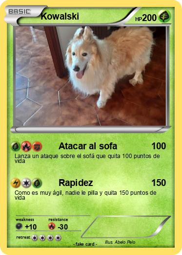 Pokemon Kowalski