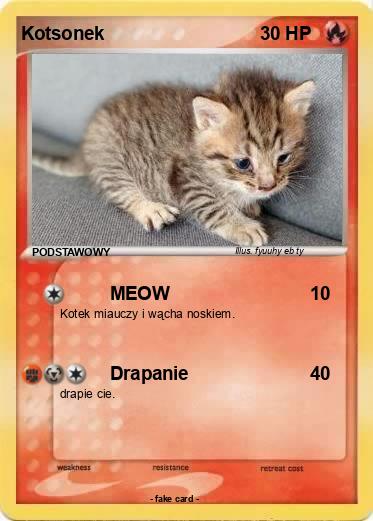 Pokemon Kotsonek