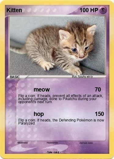 Pokemon Kitten