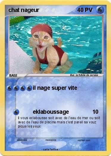 Pokemon chat nageur