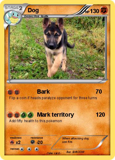 Pokemon Dog