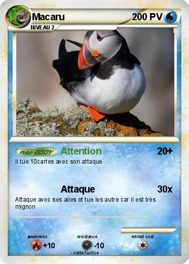 Pokemon Macaru