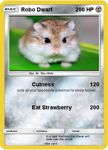 Pokemon Robo Dwarf