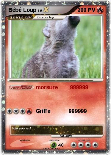 Pokemon Bébé Loup