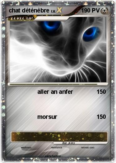 Pokemon chat déténèbre