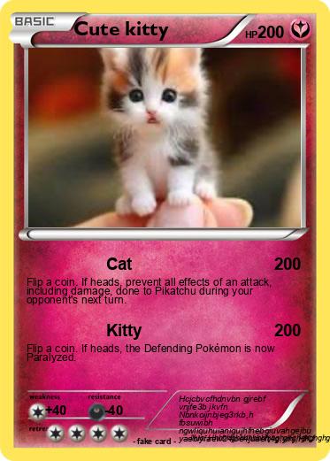 Pokemon Cute kitty