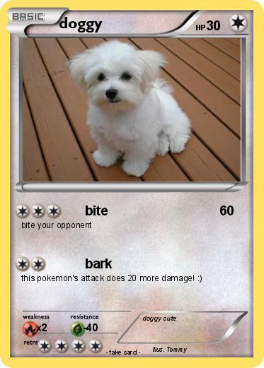 Pokemon doggy