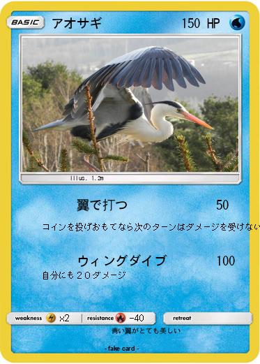 Pokemon アオサギ