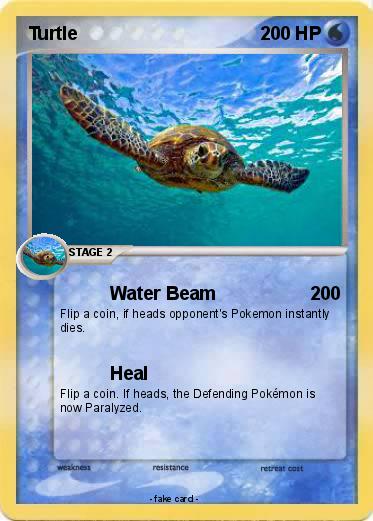 Pokemon Turtle