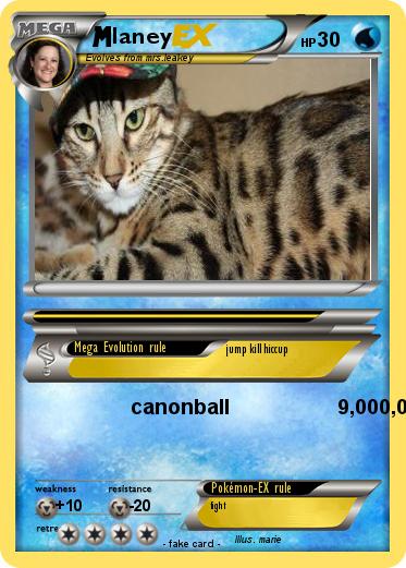 Pokemon laney