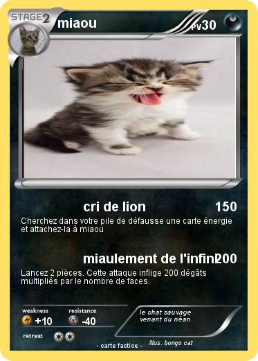 Pokemon miaou