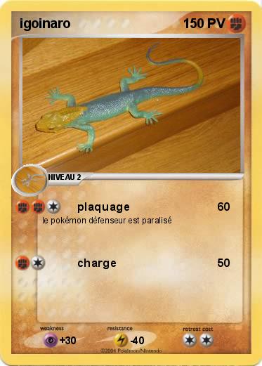 Pokemon igoinaro