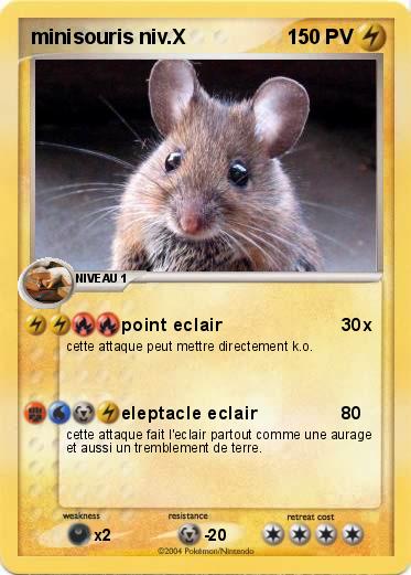 Pokemon minisouris niv.X