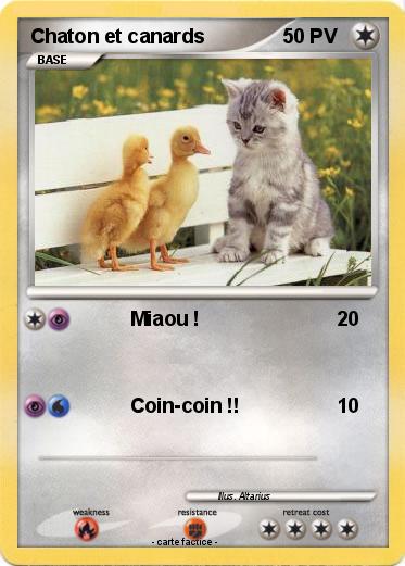 Pokemon Chaton et canards
