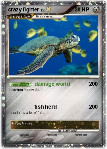 Pokemon crazy fighter