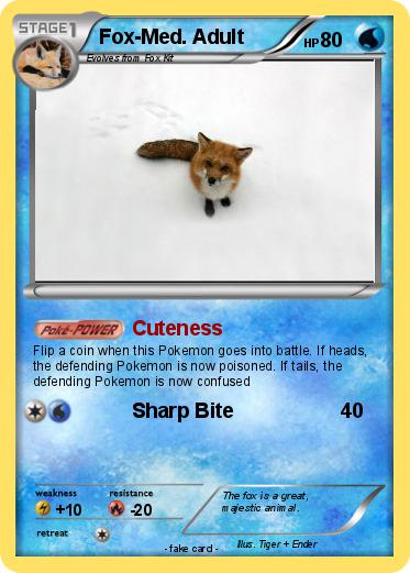 Pokemon Fox-Med. Adult