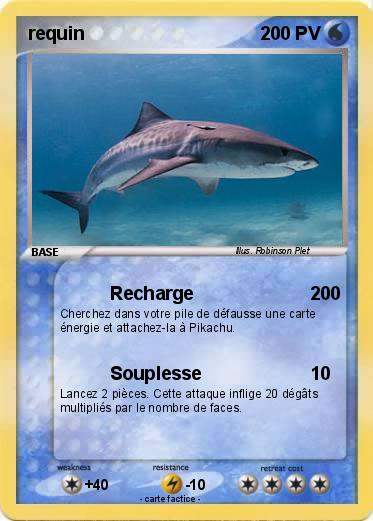 Pokemon requin