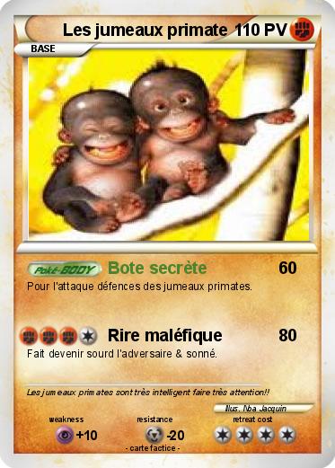 Pokemon Les jumeaux primate