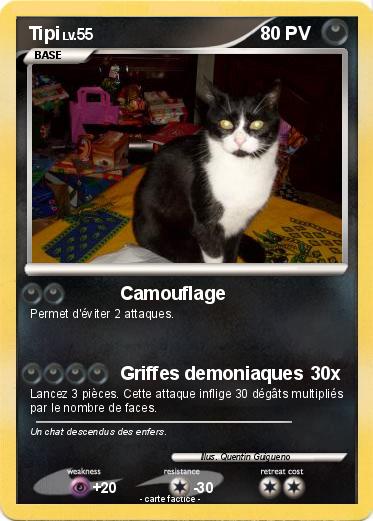 Pokemon Tipi