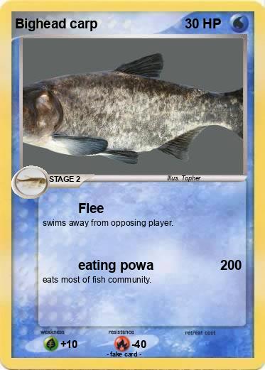 Pokemon Bighead carp