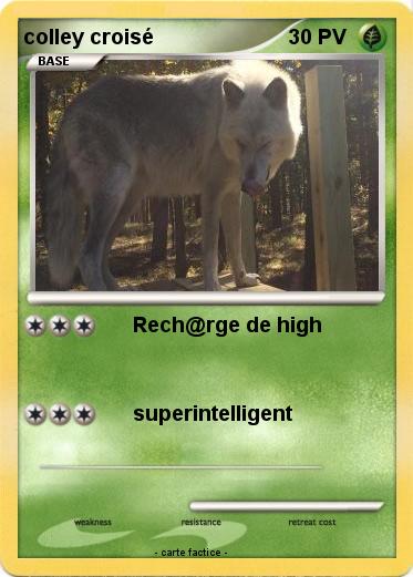 Pokemon colley croisé