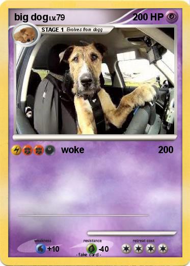 Pokemon big dog
