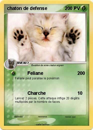 Pokemon chaton de defense