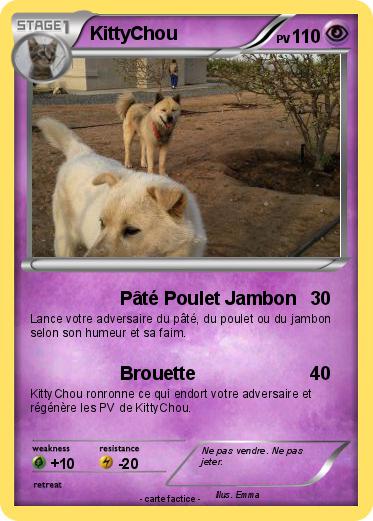 Pokemon KittyChou