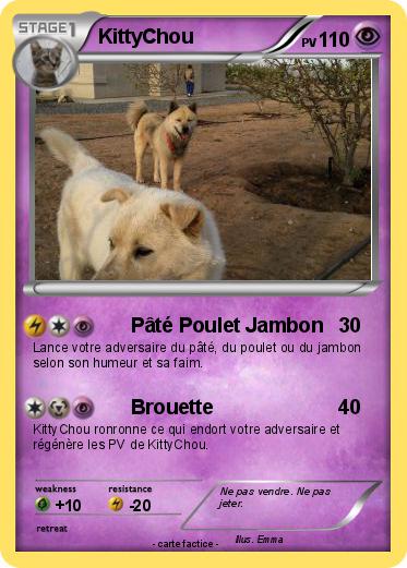 Pokemon KittyChou