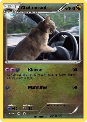 Pokemon Chat roulant