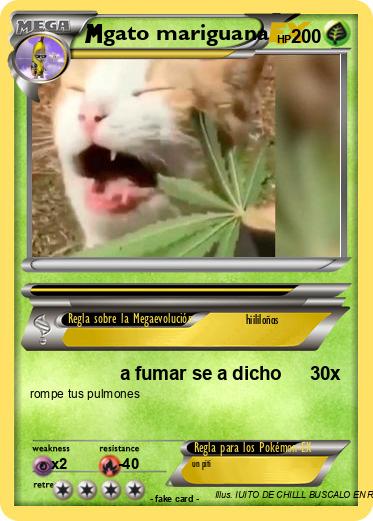 Pokemon gato mariguana