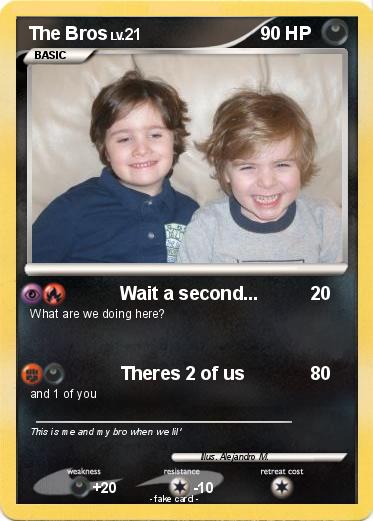 Pokemon The Bros