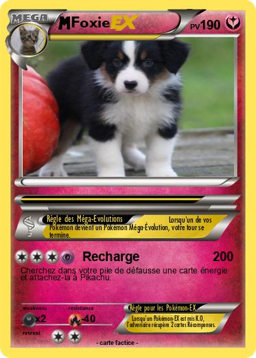 Pokemon Foxie