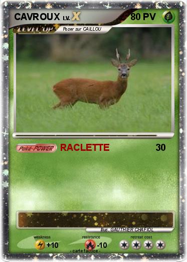 Pokemon CAVROUX