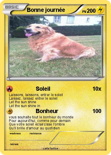Pokemon Bonne journée