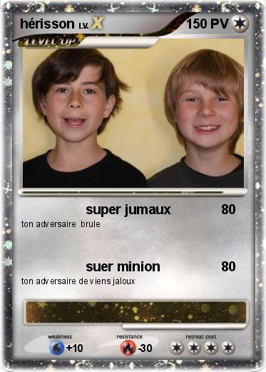 Pokemon hérisson