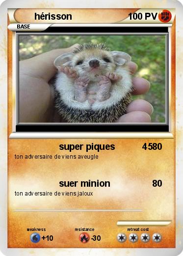 Pokemon hérisson