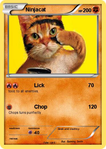 Pokemon Ninjacat