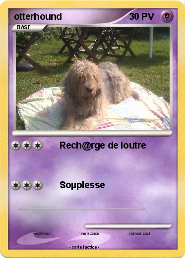 Pokemon otterhound
