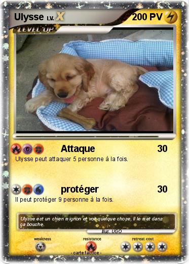 Pokemon Ulysse